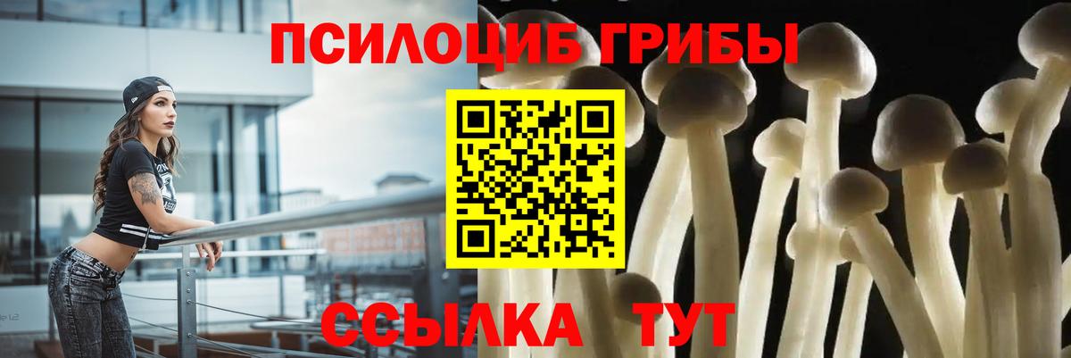 Узловая  Галлюциногенные грибы мицелий  Вход с VPN 
